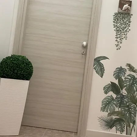 Andrea Accomodation דירה טרופאה